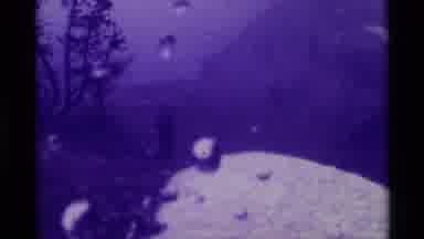 Agate Springs Montana USA (1975): Dark Character Walking Through Rainy
