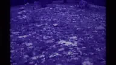 Agate Springs Montana USA (1975): A Dark View Of Rocky Mountains
