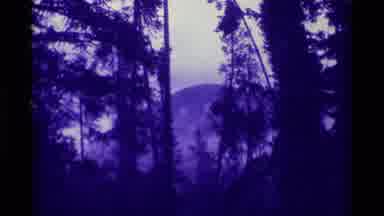Agate Springs Montana USA (1975): A Dark Gloomy Swampy Area Surrounded By High