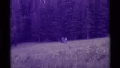 Agate Springs Montana USA (1975): People Walking Slowly Through Large Field