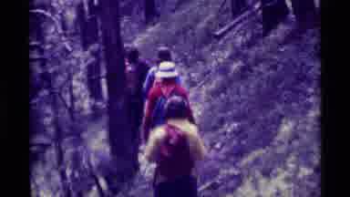Agate Springs Montana USA (1975): Five Men Or Women Hiking Through The Forest