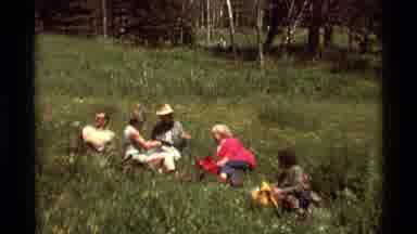 Agate Springs Montana USA (1975): A Setting Of Nature With Wild Grass Wild Flowers