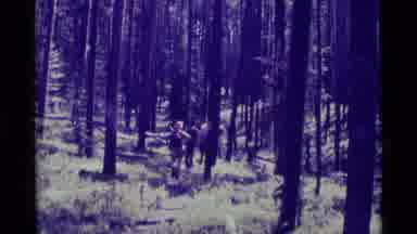 Agate Springs Montana USA (1975): Trekking In Forests Makes All The Difference And