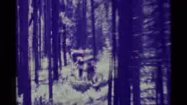 Agate Springs Montana USA (1975): Group Of People Walking Trail Crossing Wood Over