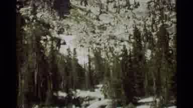 Agate Springs Montana USA (1975): Outdoor With Mountains And Small River With