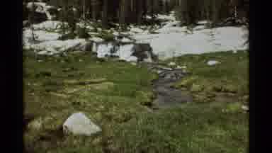 Agate Springs Montana USA (1975): Snow Melting On A Mountain In Spring