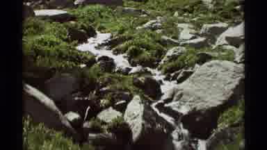 Agate Springs Montana USA (1975): Water Stream Over Rocks