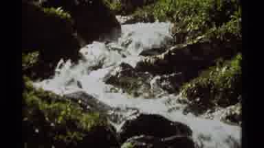 Agate Springs Montana USA (1975): Running Water Flowing Into A Larger Body Of