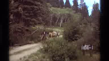 Agate Springs Montana USA (1975): A Man Riding A Horse On A Road With Several