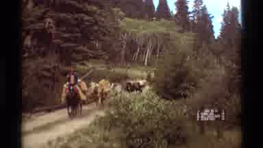 Agate Springs Montana USA (1975): Man On Horse Leading Several Animals Along Trail