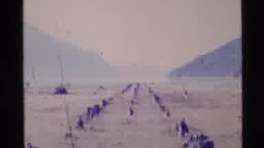 Alaska USA (1977): Three Scenes Of Forest Walkway Field Trial And Hanging Signpost