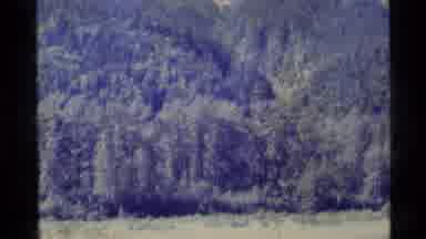 Alaska USA (1977): Forest Mountain Of Pine Trees Panning Down To Large Open Field