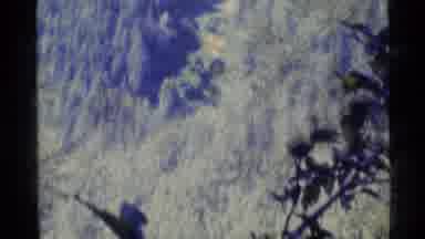 Alaska USA (1977): Footage Of Hiker Walking Through Forest With Zoom Back Shot