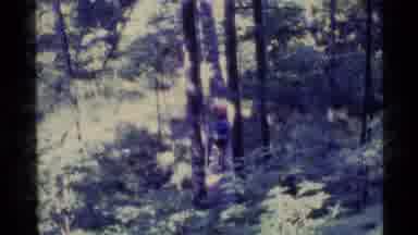 Alaska USA (1977): Hikers In Woods