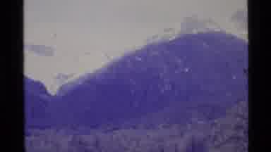 Alaska USA (1977): Snow Covered Mountains In The Distance With Trees In Front Of