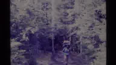 Alaska USA (1977): Nature Trees People Walking Around