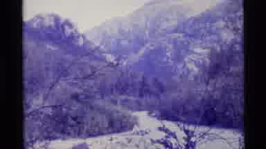 Alaska USA (1977): Natural World Showing River Ferns Woodland In A Mountainous