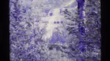 Alaska USA (1977): Camera Person Zooming In On A Waterfall In The Woods