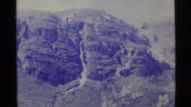 Alaska USA (1977): A Very Dense Forest In A Mountain And Some Small Fruits Hanging