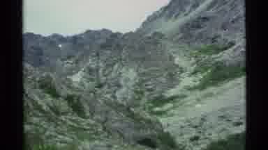 ALASKA USA-1977: Camera Pans Across A Mountain Side And Shows Moss And Greenery