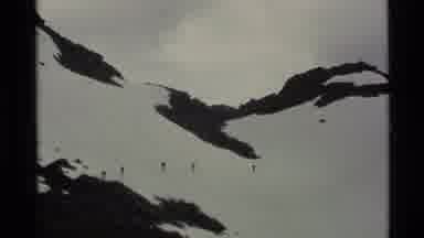 Alaska USA (1977): A Video Of A Squirrel Running To Get Off The Snow