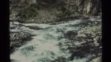 Alaska USA (1977): Beautiful River With Beautiful White Roses