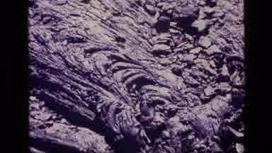 Idaho USA (1972): Rough Uneven Surface Bumpy Textured Muddy Sludge Tree Bark Dark