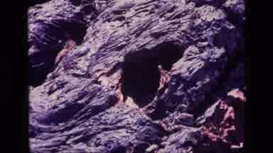 Idaho USA (1972): View Of Petrified Wood And Ash On A Bright Sunny Day