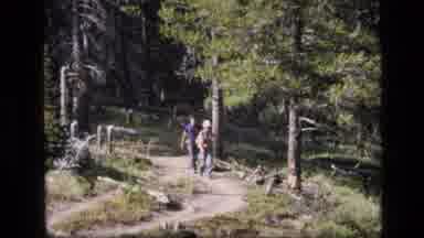 SCAPEGOAT WILDERNESS MONTANA USA .MP-1973: Couple Walk Through Scenic Forest