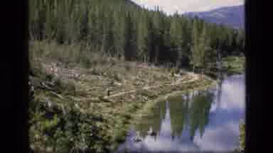 SCAPEGOAT WILDERNESS MONTANA USA .MP-1973: Lake With Pine Forest And Meadows And