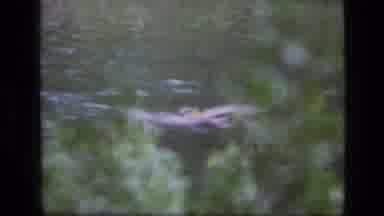SCAPEGOAT WILDERNESS MONTANA USA .MP-1973: People Eating Near The Water Where