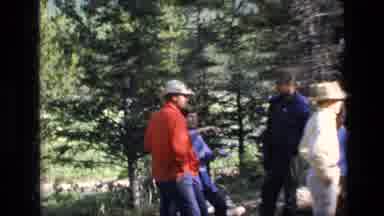 SCAPEGOAT WILDERNESS MONTANA USA .MP-1973: Group Of Nature Lovers In The Woods