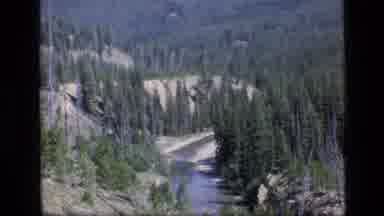 SCAPEGOAT WILDERNESS MONTANA USA .MP-1973: Stream Flows Through The Trees Of A