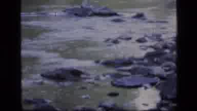 SCAPEGOAT WILDERNESS MONTANA USA .MP-1973: A View Of Rocks Flowing In The Ocean