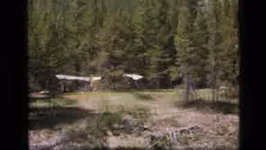 SCAPEGOAT WILDERNESS MONTANA USA .MP-1973: Alone In The Woods In The Middle Of