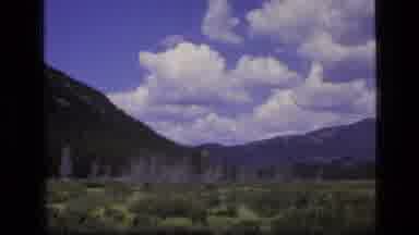 SCAPEGOAT WILDERNESS MONTANA USA .MP-1973: A Landscape Of Trees Mountains Grass