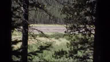 SCAPEGOAT WILDERNESS MONTANA USA .MP-1973: People Are Are Walking Out In The