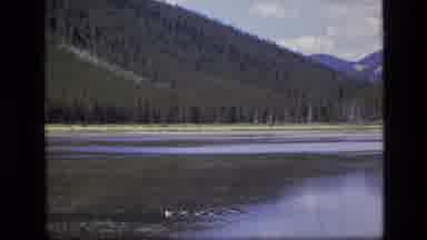 SCAPEGOAT WILDERNESS MONTANA USA .MP-1973: Mountain Lakeside Landscape With