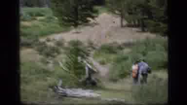 SCAPEGOAT WILDERNESS MONTANA USA .MP-1973: Hiking Family Stops In Forest