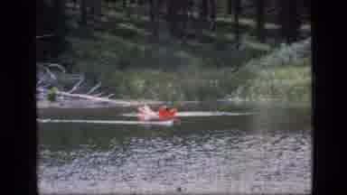 SCAPEGOAT WILDERNESS MONTANA USA .MP-1973: Bird Moving Quickly Across Lake