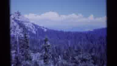 MINARET WILDERNESS CALIFORNIA USA .M-1975: A View Of Swampland Along With