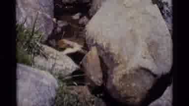 MINARET WILDERNESS CALIFORNIA USA .M-1975: A Stream Of Water Slowly Running