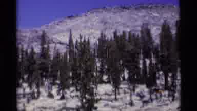 MINARET WILDERNESS CALIFORNIA USA .M-1975: Quickly Zooming In To A Snowy Forest