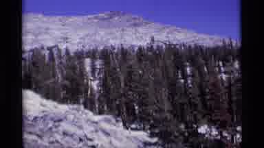 MINARET WILDERNESS CALIFORNIA USA .M-1975: Pine Forest Land Amid Small Mountain