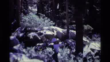MINARET WILDERNESS CALIFORNIA USA .M-1975: A Camper Walking With A Fishing Rod