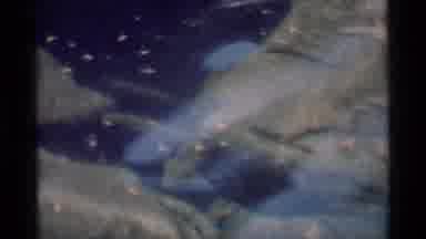 MINARET WILDERNESS CALIFORNIA USA .M-1975: What Is It That We Really See Under