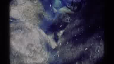 MINARET WILDERNESS CALIFORNIA USA .M-1975: A Video Of The Ocean With Something