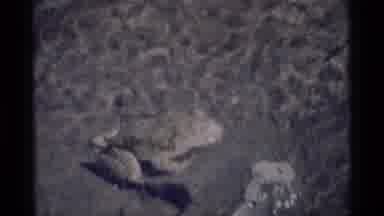 MINARET WILDERNESS CALIFORNIA USA .M-1975: A View Of Two Different Animals