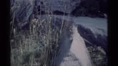 MINARET WILDERNESS CALIFORNIA USA .M-1975: Old Footage Of A Chipmunk Eating