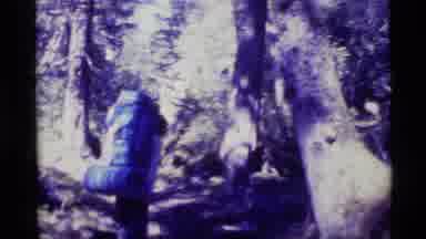 Alaska USA (1977): A Group Of Hikers Walking Down A Hiking Trail